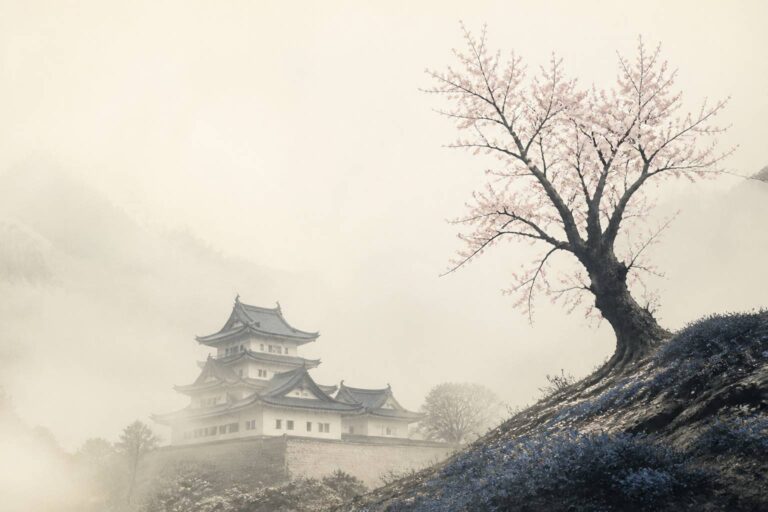 Quel est le rôle du shogun dans la société japonaise