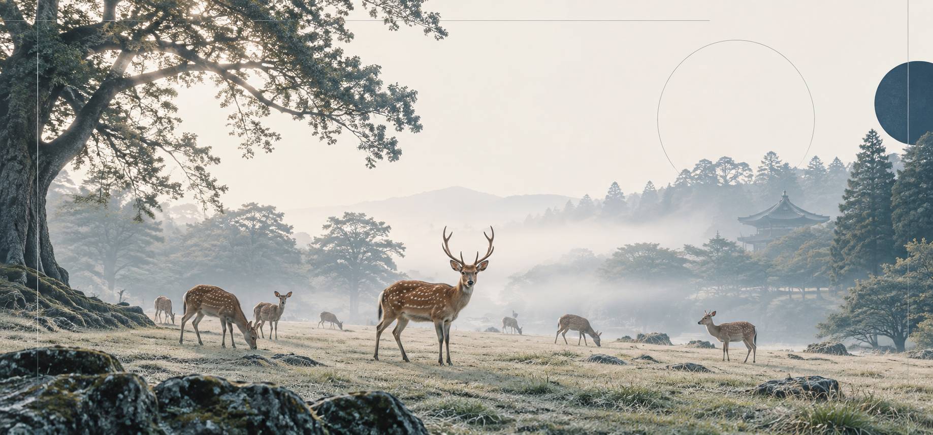 Illustration éditoriale du sujet : Découvrir les daims de Nara : un symbole de la nature japonaise